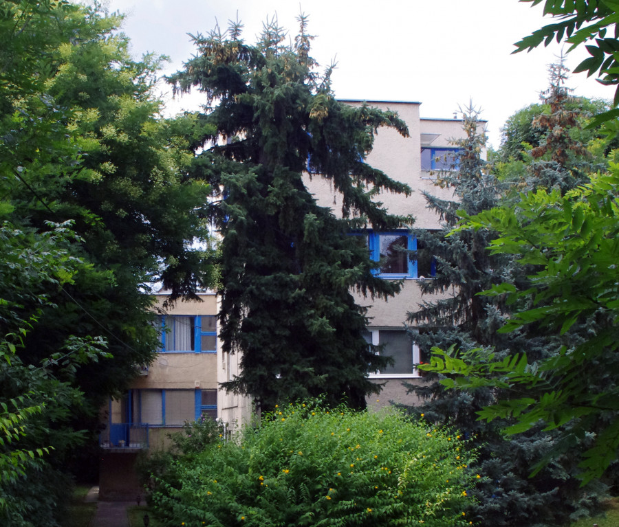 Apartments Lotz Károly street 4b